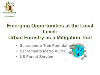 Emerging Opportunities at the Local
              Level:
Urban Forestry as a Mitigation Tool
   •  Sacramento Tree Foundation
   •  Sacramento Metro AQMD
   •  US Forest Service
 