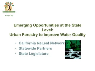 Emerging Opportunities at the State
                 Level:
Urban Forestry to improve Water Quality

  •  California ReLeaf Network
  •  Statewide Partners
  •  State Legislature
 