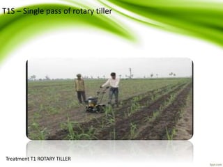 Treatment T1 ROTARY TILLER
T1S – Single pass of rotary tiller
 