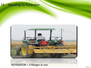 ROTAVATOR – 3 flanges in use
T3 - Weeding by Rotavator
 