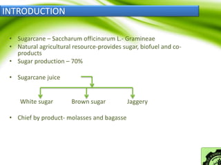 INTRODUCTION
• Sugarcane – Saccharum officinarum L.- Gramineae
• Natural agricultural resource-provides sugar, biofuel and co-
products
• Sugar production – 70%
• Sugarcane juice
White sugar Brown sugar Jaggery
• Chief by product- molasses and bagasse
 