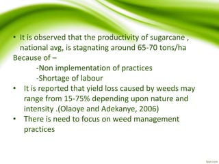 • It is observed that the productivity of sugarcane ,
national avg, is stagnating around 65-70 tons/ha
Because of –
-Non implementation of practices
-Shortage of labour
• It is reported that yield loss caused by weeds may
range from 15-75% depending upon nature and
intensity .(Olaoye and Adekanye, 2006)
• There is need to focus on weed management
practices
 