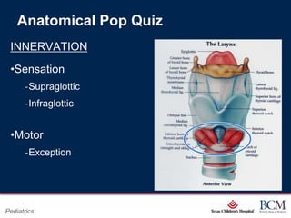 Anatomical Pop Quiz
 INNERVATION
 •Sensation
      ‐Supraglottic
      ‐Infraglottic


 •Motor
      ‐Exception




                                  Page 43
Pediatrics            xxx00.#####.ppt 7/10/2012 8:23:12 AM
 