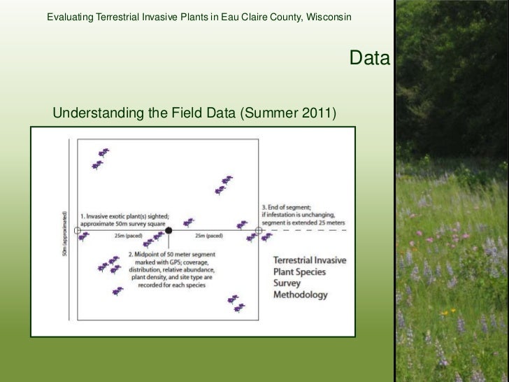 Evaluating Terrestrial Invasive Plant Species in Eau ... Evaluating Terrestrial Invasive Plant Species in Eau ...