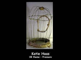 Katie Haas
IB theme – Pressure
 