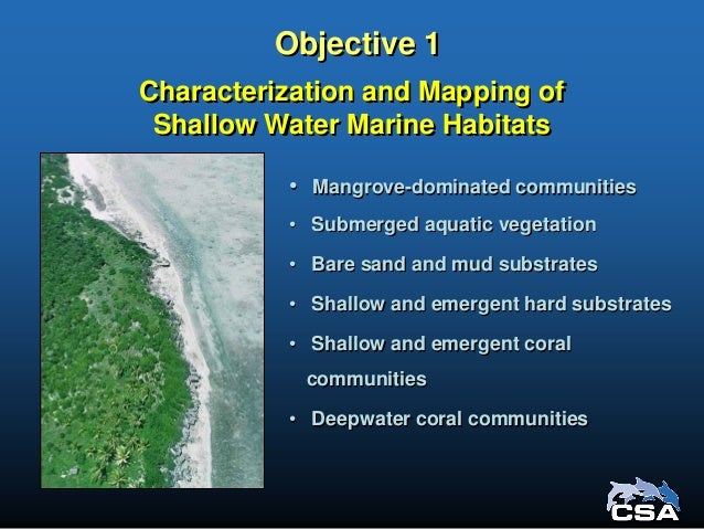 imagery interpretation for coastal and marine spatial planning marine imagery