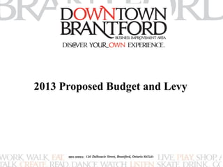 2013 Proposed Budget and Levy 
 