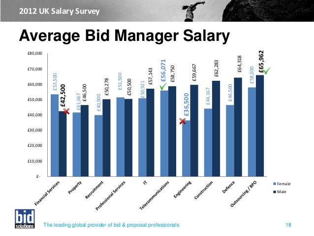 2012 Bid Solutions UK Salary Survey