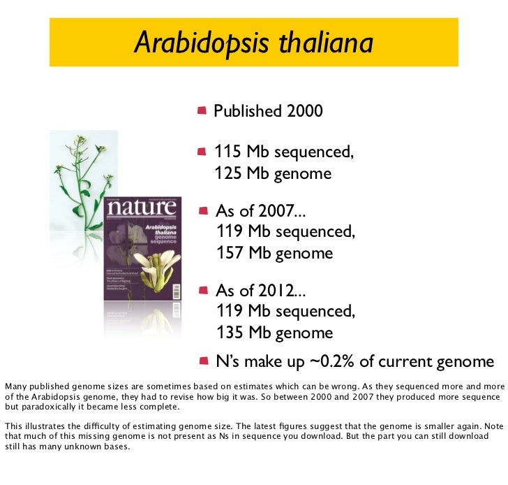 when is a genome finished arabidopsis genome size
