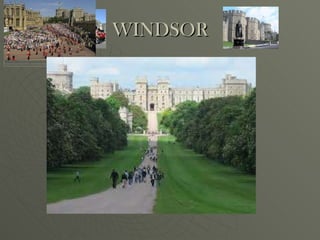 WINDSOR 