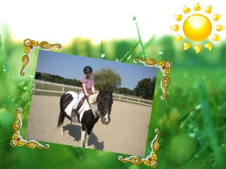 2012 camp funny scrapbook