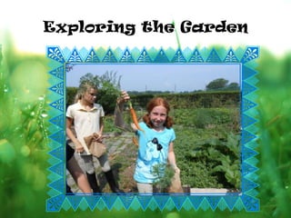 Exploring the Garden
 
