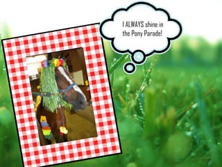 I ALWAYS shine in
the Pony Parade!
 