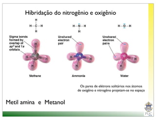 Híbridação do nitrogênio e oxigênio




                           Os pares de elétrons solitários nos átomos
                          de oxigêno e nitrogêno projetam-se no espaço


Metil amina e Metanol
 