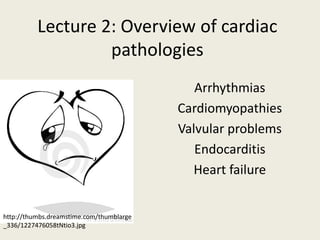 Lecture 2: Overview of cardiac
                   pathologies
                                             Arrhythmias
                                          Cardiomyopathies
                                          Valvular problems
                                             Endocarditis
                                            Heart failure


http://thumbs.dreamstime.com/thumblarge
_336/1227476058tNtio3.jpg
 