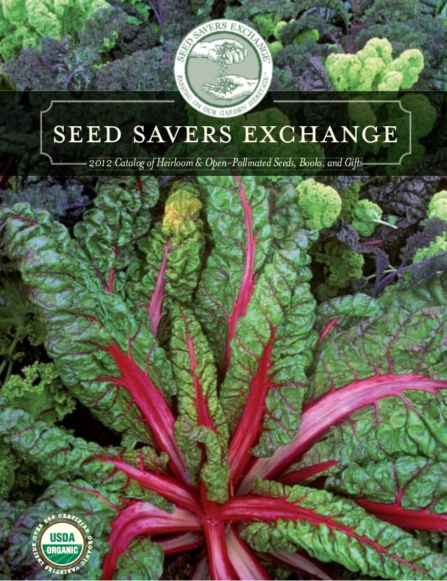 Nero Di Toscana 500 Seeds ITALIAN HEIRLOOM VARIETY Edible /& Ornamental KALE