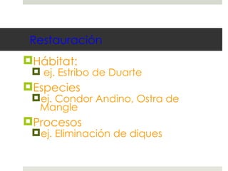 Restauración Hábitat: ej. Estribo de Duarte Especies ej. Condor Andino, Ostra de Mangle Procesos ej. Eliminación de diques 