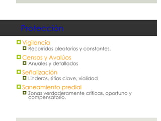 Protección Vigilancia Recorridos aleatorios y constantes. Censos y Avalúos Anuales y detallados Señalización Linderos, sitios clave, vialidad Saneamiento predial Zonas verdaderamente críticas, oportuno y compensatorio. 
