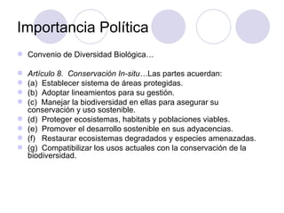 Importancia Política Convenio de Diversidad Biológica… Artículo 8.  Conservación In-situ… Las partes acuerdan:  (a)  Establecer sistema de áreas protegidas.  (b)  Adoptar lineamientos para su gestión. (c)  Manejar la biodiversidad en ellas para asegurar su conservación y uso sostenible. (d)  Proteger ecosistemas, habitats y poblaciones viables.  (e)  Promover el desarrollo sostenible en sus adyacencias.  (f)  Restaurar ecosistemas degradados y especies amenazadas.  (g)  Compatibilizar los usos actuales con la conservación de la biodiversidad. 