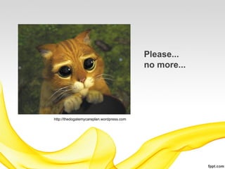 Please...
                                           no more...




http://thedogatemycareplan.wordpress.com
 