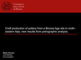 Craft production of pottery from a Bronze Age site in north-
eastern Italy: new results from petrographic analysis
Marta Tenconi
Lara Maritan
Anna Angelini
 