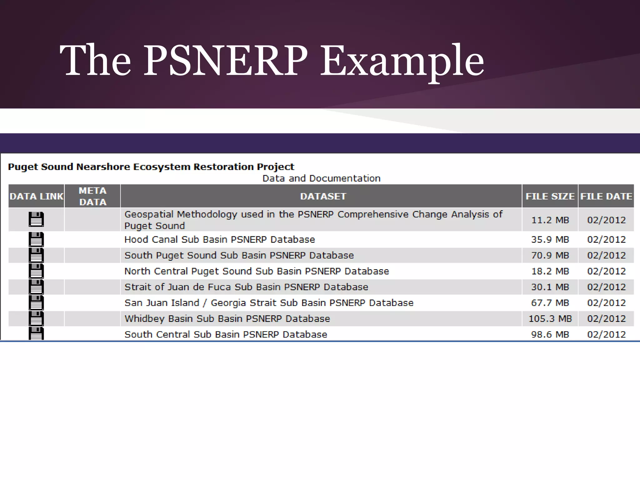 The PSNERP Example
 