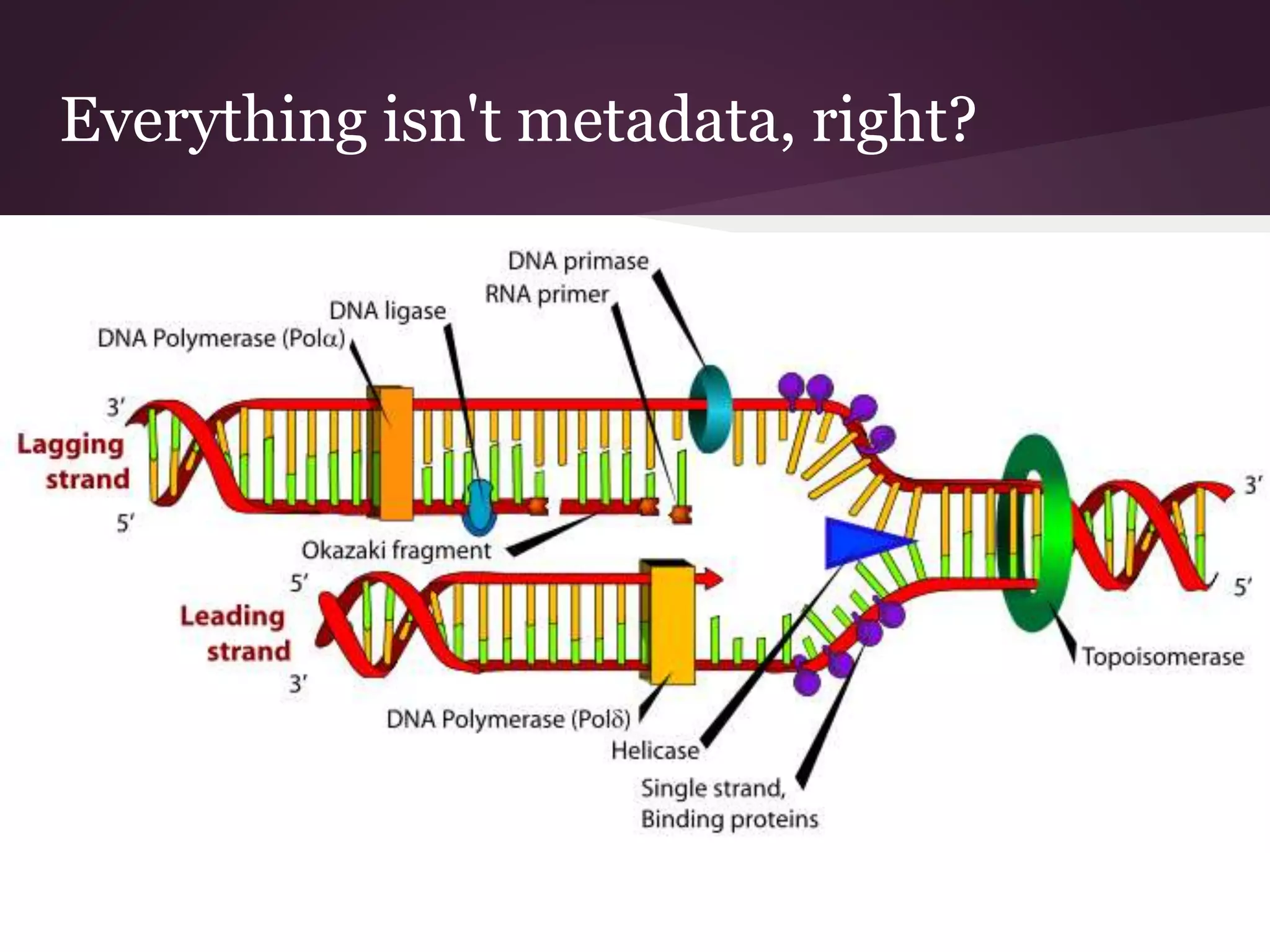 Everything isn't metadata, right?
 