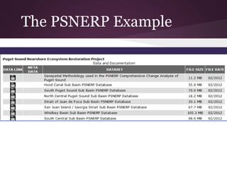 The PSNERP Example
 
