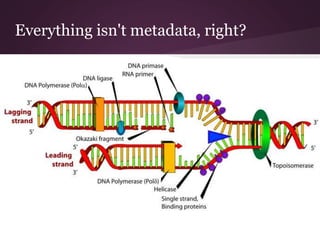 Everything isn't metadata, right?
 