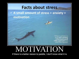 Facts about stress
• A small amount of stress + anxiety =
motivation
 