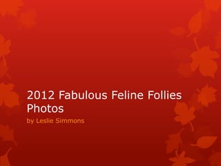 2012 Fabulous Feline Follies
Photos
by Leslie Simmons
 