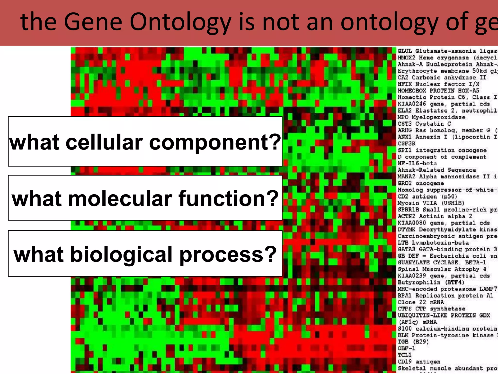 the Gene Ontology is not an ontology of ge



what cellular component?

what molecular function?

what biological process?



                             23
 