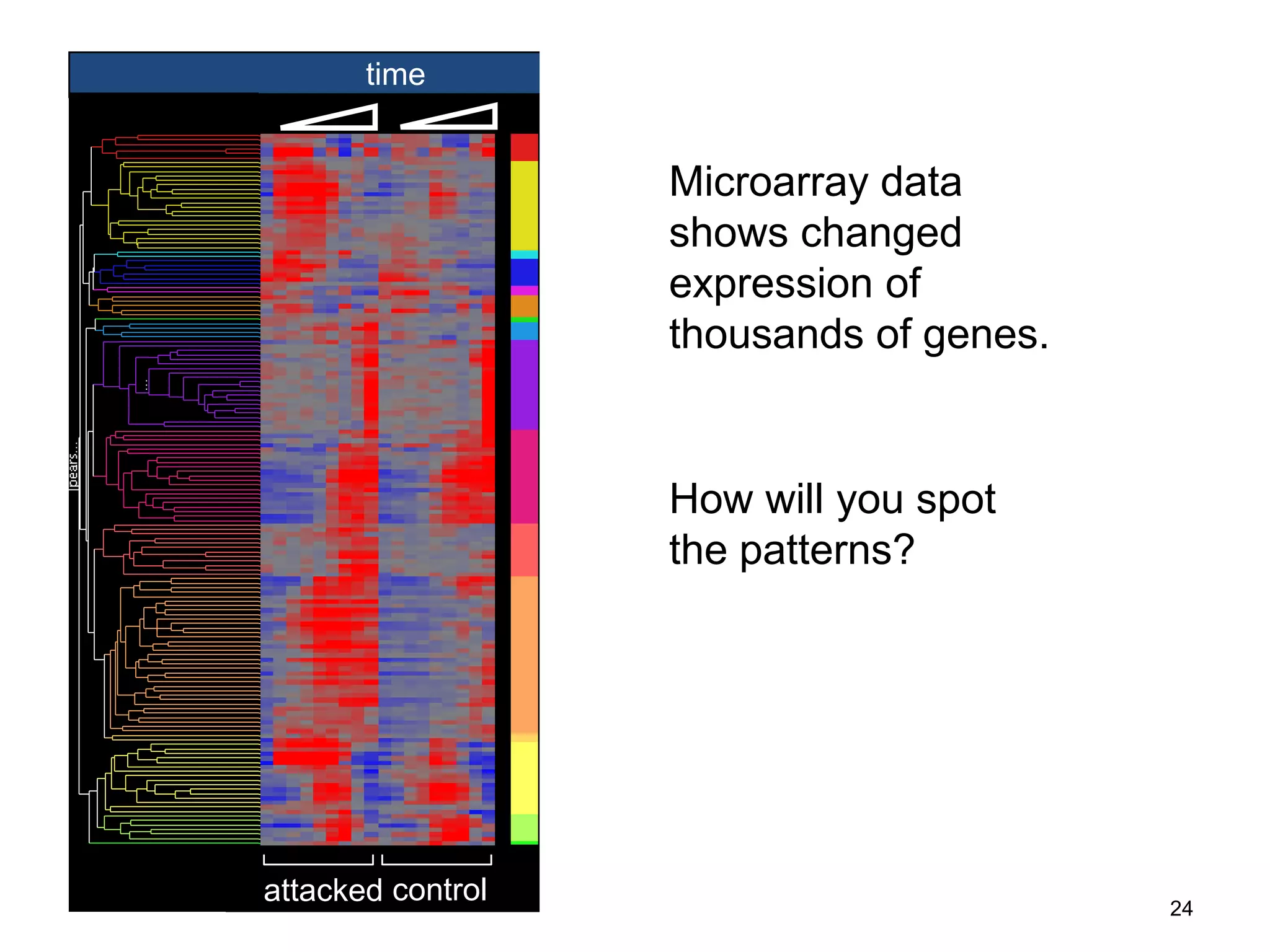 time

                                                                           Defense response
                                                                                       Microarray data
                                                                           Immune response
                                                                           Response to stimulus
                                                                                       shows changed
                                                                           Toll regulated genes
                                                                           JAK-STAT regulated genes
                                                                                       expression of
                                                                                       thousands of genes.
                                                                           Puparial adhesion
                                                                           Molting cycle
                                                                           hemocyanin

                                                                           Amino acid catabolism
                                                                           Lipid metobolism
                                                                                       How will you spot
                                                                                       the patterns?
                                                                           Peptidase activity
                                                                           Protein catabloism
                                                                           Immune response


                                                                           Immune response
                                                                           Toll regulated genes



                                    attacked control                                                         24
e Tree: lw n3d ...lw n3d ...
ar son          pearson       Colored by: Copy of Copy of C5_RMA (Defa...
                                   Colored by:    Copy of Copy of C5_RMA (Defa...
 lassification: Set_LW_n3 d_5p_... Gene List:
t_LW_n3 d_5p_...              Gene List:       allall genes (1 4010)
                                                  genes (1 4010)
 