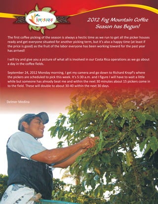 2012 Fog Mountain Coffee Harvest Begun
