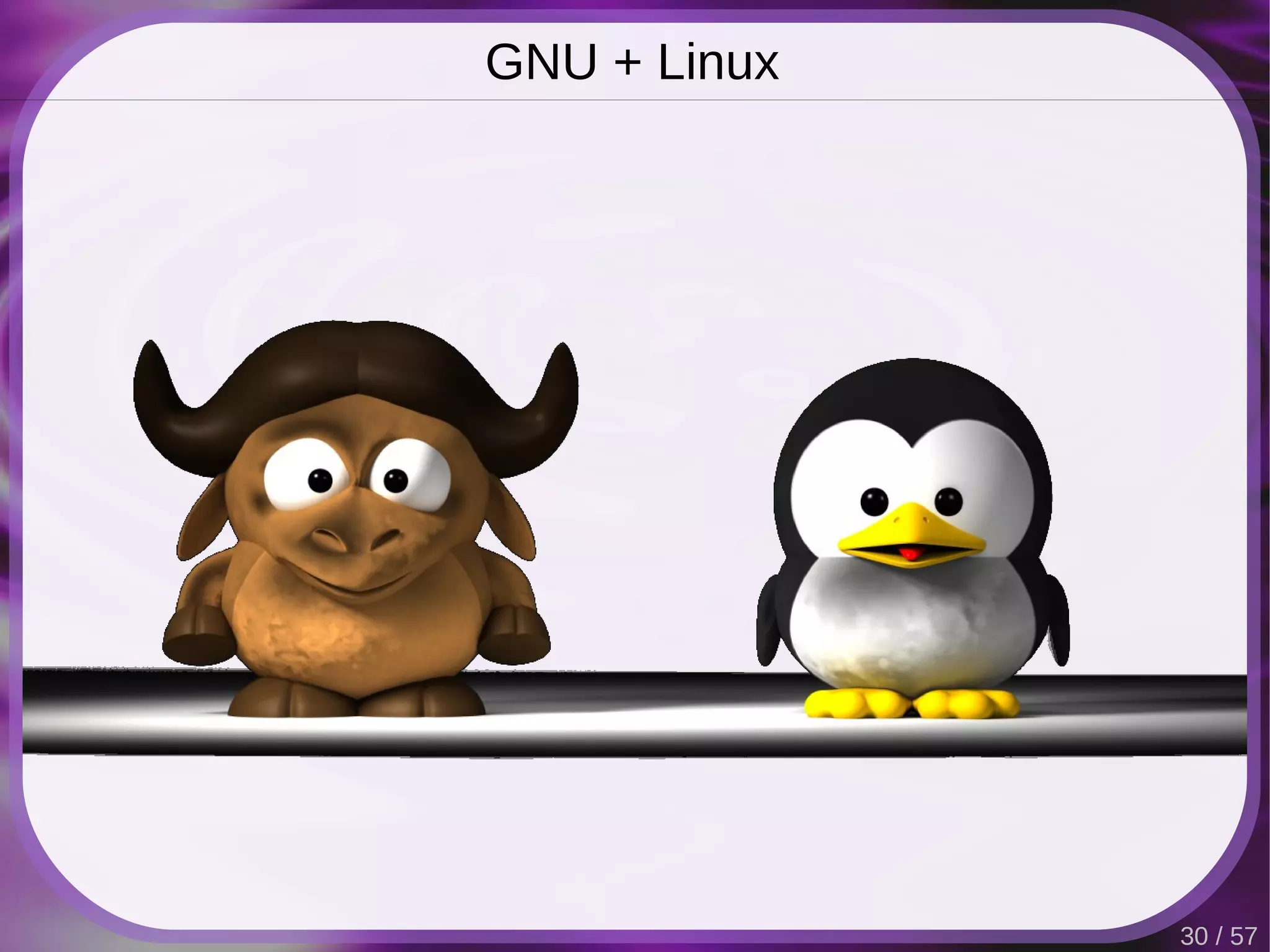 GNU + Linux




              30 / 57
 