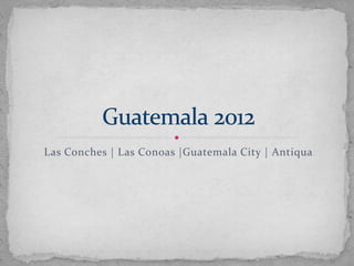 Las Conches | Las Conoas |Guatemala City | Antiqua
 