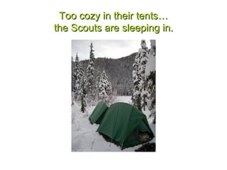 Too cozy in their tents…
the Scouts are sleeping in.
 