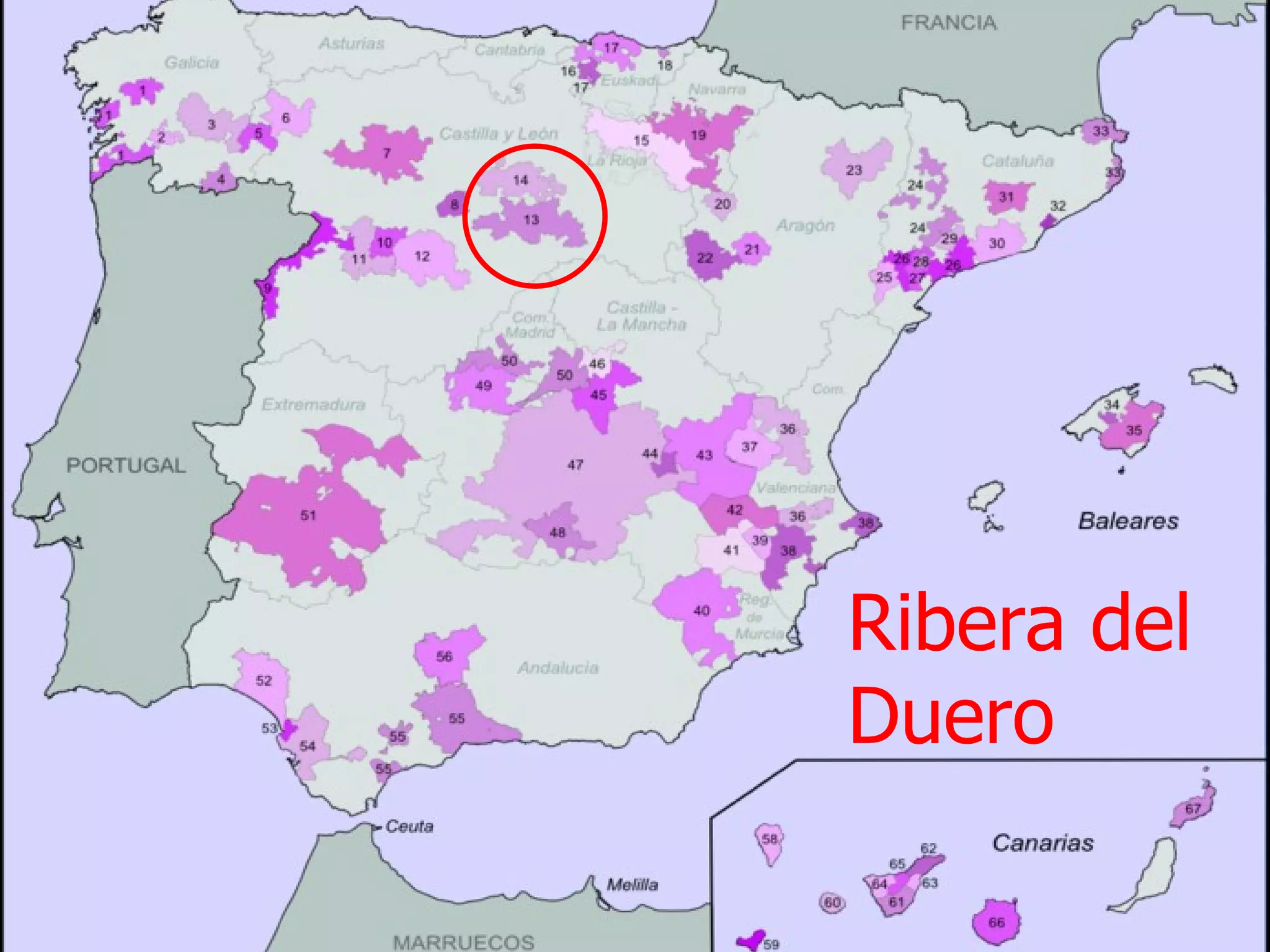 Ribera del
Duero
 