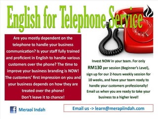 The Professional English Series