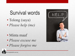 Survival words
• Tolong (saya)
• Please help (me)

• Minta maaf
• Please excuse me
• Please forgive me
merapiindah.com.my
 