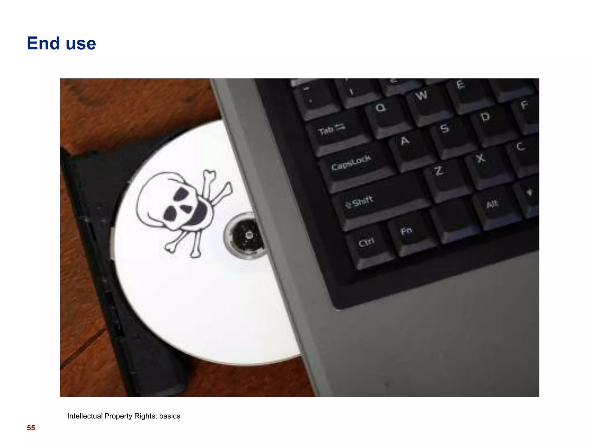 End use




     Intellectual Property Rights: basics
55
 