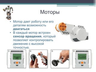 Моторы
• Мотор дает роботу или его
  деталям возможность
  двигаться
• B каждый мотор встроен
  сенсор вращения, который
  позволяет контролировать
  движение с высокой
  точностью.
 