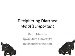 Deciphering Diarrhea
 What’s Important
     Darin Madson
  Iowa State University
  madson@iastate.edu
 