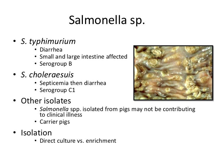 Dr. Darin Madson Deciphering Diarrhea What's Important