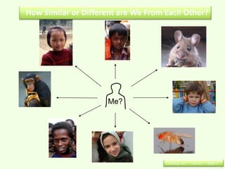 How Similar or Different are We From Each Other?




                     Me?




                                    Learning Set 1 : Lesson 1 : Slide 5
 
