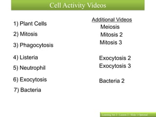 Cell Activity Videos
                               Additional Videos
1) Plant Cells
                                  Meiosis
2) Mitosis                        Mitosis 2
3) Phagocytosis                   Mitosis 3

4) Listeria                       Exocytosis 2
5) Neutrophil                     Exocytosis 3

6) Exocytosis                     Bacteria 2
7) Bacteria



                                   Learning Set 2 : Lesson 2 : Slide 1 Optional
 