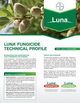 LUNA FUNGICIDE        ®




TECHNICAL PROFILE                                                                          NEW LUNA FUNGICIDES


INTRODUCING LUNA® SENSATION AND                                    UNIQUE SDHI FUNGICIDE
LUNA® EXPERIENCE FOR ALMONDS                                       The new active ingredient in Luna fungicides – fluopyram –
Luna ® fungicides – the latest innovation from Bayer               is not a carboxamide. Fluopyram shares the same
CropScience – contain a new class of chemistry that will           SDHI mode of action with boscalid, fluxapyroxad, and
provide unique systemic solutions for protection against           penthiopyrad, but fluopyram behaves very differently. It
brown rot blossom blight, shothole, scab, anthracnose,             is uniquely in the pyramide chemical group and differs
Alternaria leaf spot and the other key diseases of                 in shape and in molecular flexibility from other SDHI
almonds. Both Luna Sensation and Luna Experience are               fungicides. Luna/fluopyram continues to control boscalid-
EPA-registered and approved for use in tree nuts.                  resistant isolates.

                                                                   Bayer CropScience recommends Luna Experience
                                                                   not be rotated with other Group 3 (DMI) or Group 7
  Benefits of Luna Fungicides                                      (SDHI) products. Bayer CropScience recommends Luna
                                                                   Sensation not be rotated with other Group 11 (QoI) or
   Bud penetration – Luna Sensation penetrates into                Group 7 (SDHI) products.
   young closed buds to provide more complete protection
   through the bloom period against brown rot blossom
   blight. See data on reverse side.
   Exceptional efficacy – Luna Sensation has proven
   itself in four years of California trials, providing efficacy
   equal or superior to current leading fungicides for control
   of brown rot blossom blight, shothole, scab, anthracnose,
   Alternaria leaf spot and other key diseases of almonds.          The ultimate bloom-time and    For hull rot suppression and an
                                                                     summer disease solution.     in-season strobi-free alternative.
   New class of chemistry controls resistant strains
   of Alternaria – Luna Experience maintains excellent
   Alternaria control where other products are failing due
   to resistance to carboxamides and/or strobilurins.
 