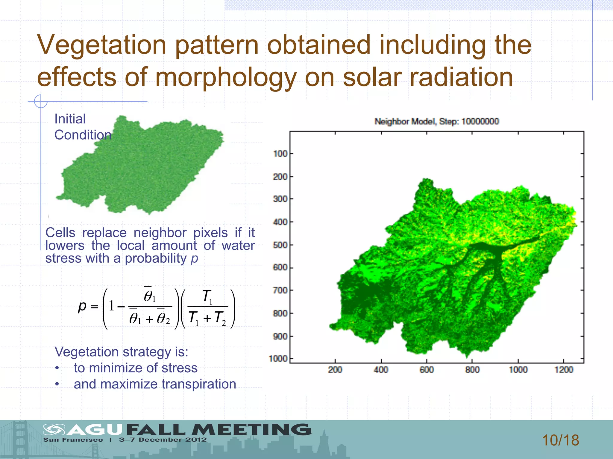 10/18
Vegetation pattern obtained including the
effects of morphology on solar radiation
Initial
Condition
Cells replace neighbor pixels if it
lowers the local amount of water
stress with a probability p
⎟⎟
⎠
⎞
⎜⎜
⎝
⎛
+⎟
⎟
⎠
⎞
⎜
⎜
⎝
⎛
+
−=
21
1
21
1
1
TT
T
p
θθ
θ
Vegetation strategy is:
•  to minimize of stress
•  and maximize transpiration
 