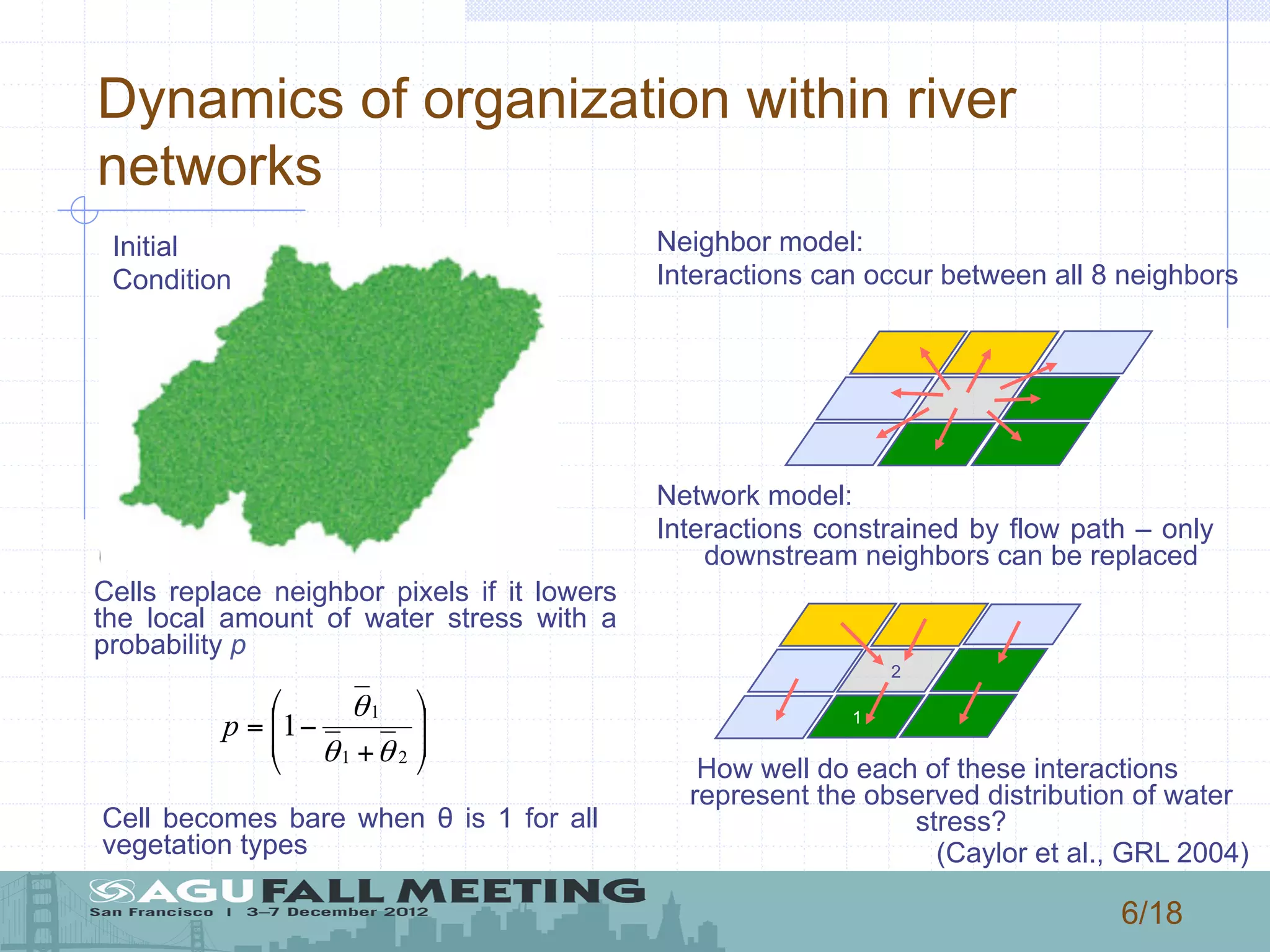 6/18
Dynamics of organization within river
networks
Initial
Condition
Neighbor model:
Interactions can occur between all 8 neighbors
Network model:
Interactions constrained by flow path – only
downstream neighbors can be replaced
2
1
Cells replace neighbor pixels if it lowers
the local amount of water stress with a
probability p
How well do each of these interactions
represent the observed distribution of water
stress?
(Caylor et al., GRL 2004)
⎟
⎟
⎠
⎞
⎜
⎜
⎝
⎛
+
−=
21
1
1
θθ
θ
p
Cell becomes bare when θ is 1 for all
vegetation types
 