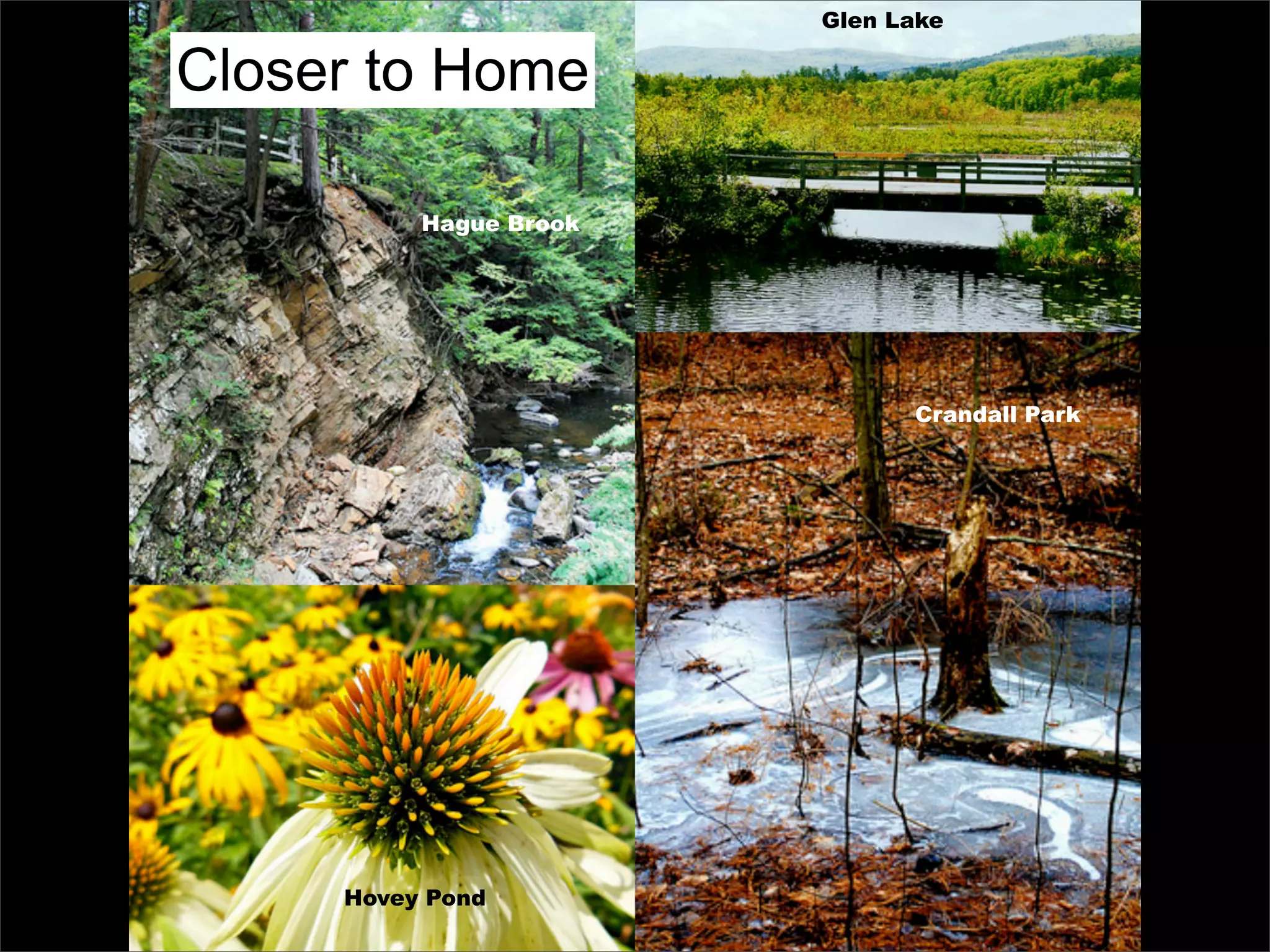 Glen Lake

Closer to Home

          Hague Brook




                              Crandall Park




     Hovey Pond
 